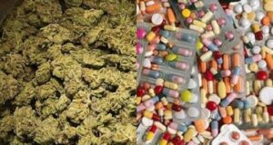 Lokossa : saisie d’une importante quantité de chanvre indien et de faux médicaments