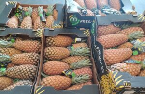 Retrait de l’ananas béninois sur le marché français : un député interpelle le gouvernement