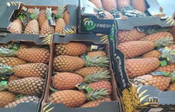 Retrait de l’ananas béninois sur le marché français : un député interpelle le gouvernement