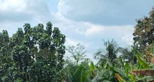 Lokossa : décès tragique d’un journaliste et AME dans un grave accident