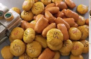 Bénin : un individu arrêté avec 83 emballages de chanvre indien