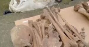 Bénin : un guérisseur arrêté avec 02 crânes humains qu’il voulait livrer à 140 mille FCFA