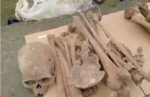 Bénin : un guérisseur arrêté avec 02 crânes humains qu’il voulait livrer à 140 mille FCFA