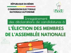 Absence aux législatives 2026 : 7 autres leaders s’ajoutent à Toko, Gbadamassi et Adambi