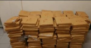 Bénin : la douane saisit 502 plaquettes de chanvre indien cachées sous du riz dans un camion