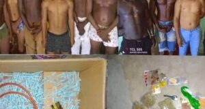 Seringues, comprimés et chanvre indien : 13 arrestations et d’importants stocks de psychotropes saisis