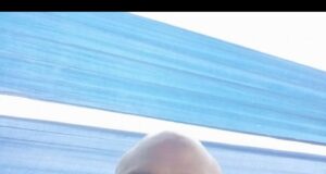 Zou : le nouveau trio de tête de la mairie de Zagnanado est désormais connu