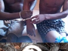 Les évadés de Lalo rattrapés et ramenés en cage à Bohicon