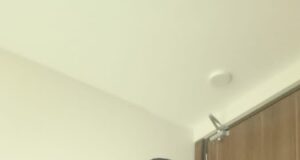 Projet de société de Romuald Wadagni : le Coordonnateur du PPDAS Pamphile Mewanou applaudit une ambition sportive qui dépasse les attentes