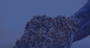 Kandi en ébullition : le Stade Saka-Kina accueille ce jour le lancement officiel de la campagne du duo Wadagni-Talata