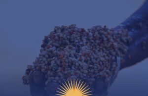 Kandi en ébullition : le Stade Saka-Kina accueille ce jour le lancement officiel de la campagne du duo Wadagni-Talata