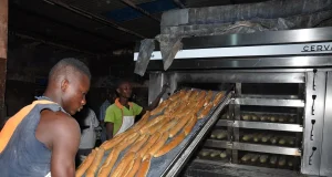 Bénin : la modernisation du secteur de la boulangerie entre dans sa phase active