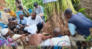 Lokossa/Depuis son Tinou natal : Apollinaire Wilfrid Avognon invoque la bénédiction des ancêtres de « Wadon » pour Romuald Wadagni et sonne la grande mobilisation