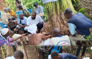Lokossa/Depuis son Tinou natal : Apollinaire Wilfrid Avognon invoque la bénédiction des ancêtres de « Wadon » pour Romuald Wadagni et sonne la grande mobilisation