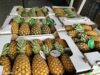 France : un lot d’ananas béninois retiré du marché, l’APIEx clarifie la situation et ouvre une enquête