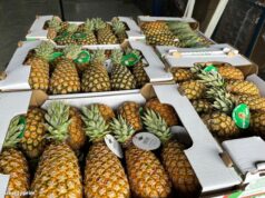 France : un lot d’ananas béninois retiré du marché, l’APIEx clarifie la situation et ouvre une enquête