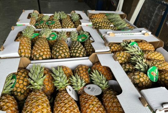 France : un lot d’ananas béninois retiré du marché, l’APIEx clarifie la situation et ouvre une enquête