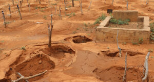 Cimetière musulman de Bohicon : vol de plus de 10 crânes, même les morts n’ont plus la paix