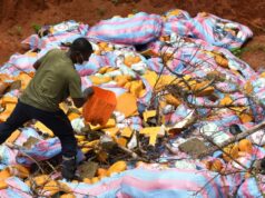 Bénin : grosse quantité de cocaïne et de cannabis réduite en cendres par l’Anracs