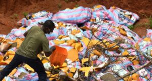 Bénin : grosse quantité de cocaïne et de cannabis réduite en cendres par l’Anracs