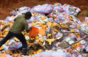 Bénin : grosse quantité de cocaïne et de cannabis réduite en cendres par l’Anracs