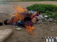 Berge lagunaire de Cotonou : 8 individus arrêtés, chanvre, tramadol et boisson saisis