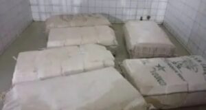 Trafic de drogue à Bembèrèkè : en fuyant la police, des dealers oublient 6 sacs de chanvre indien en brousse