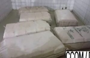 Trafic de drogue à Bembèrèkè : en fuyant la police, des dealers oublient 6 sacs de chanvre indien en brousse