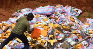 Bénin : grosse quantité de cocaïne et de cannabis réduite en cendres par l’Anracs