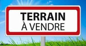 Gestion des titres fonciers dans le Mono-Couffo : entre lenteurs administratives et dossiers introuvables