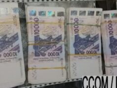 Descente de police à Lalo : près de 4 millions de faux billets saisis sur un couple de seniors trop lents pour fuir