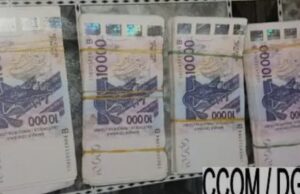 Descente de police à Lalo : près de 4 millions de faux billets saisis sur un couple de seniors trop lents pour fuir