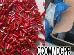Bénin : saisie spectaculaire de 500 cartouches de calibre 12, le convoyeur dans les mailles de la police